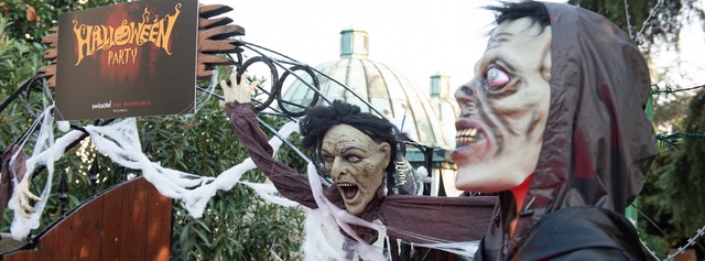 Şehrin en yaratıcı Halloween partisi Chalet Garden'da sizi bekliyor! 